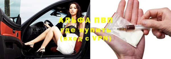 стафф Белокуриха