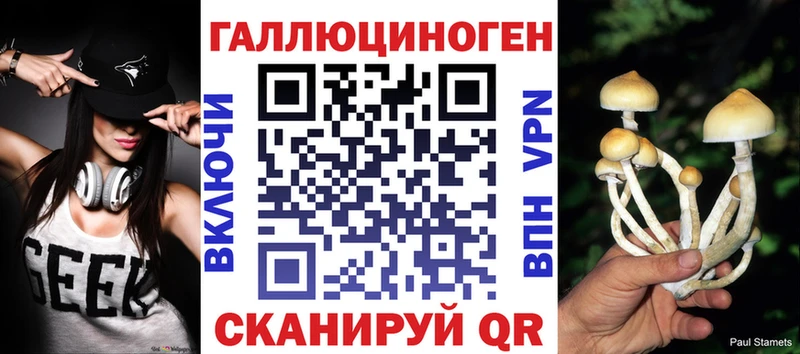 Галлюциногенные грибы MAGIC MUSHROOMS  как найти   Люберцы 